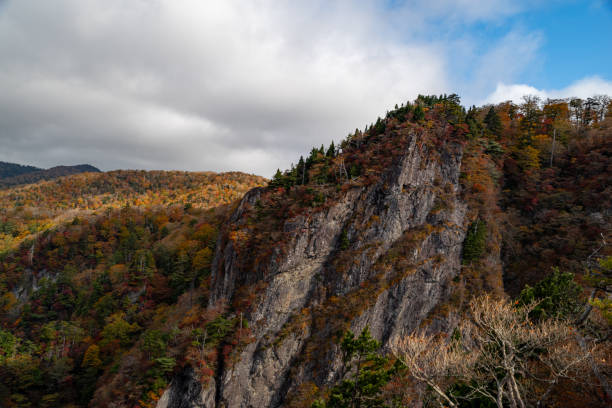 istock Mountain with autumn leaves 1779859127