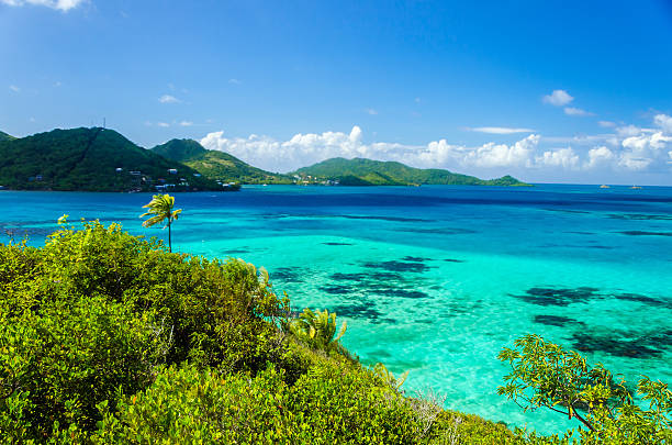 Beautiful Sea and Tropical Island