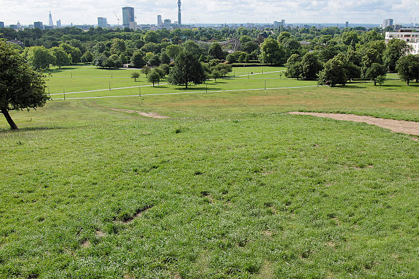 istock Primrose Hill in London 177987448