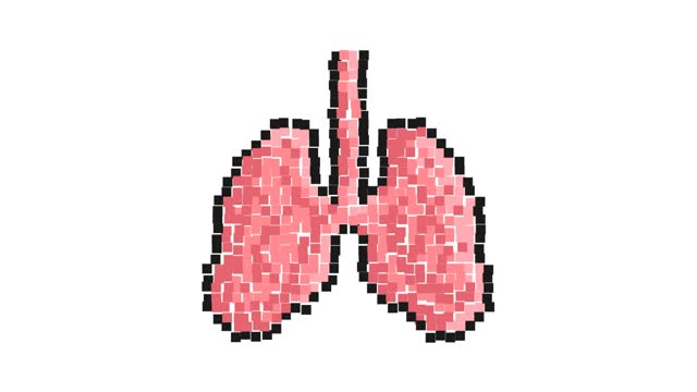 Animated Pixel icon. Healthy human lungs. Human respiratory system. Simple retro game looped video isolated on white background