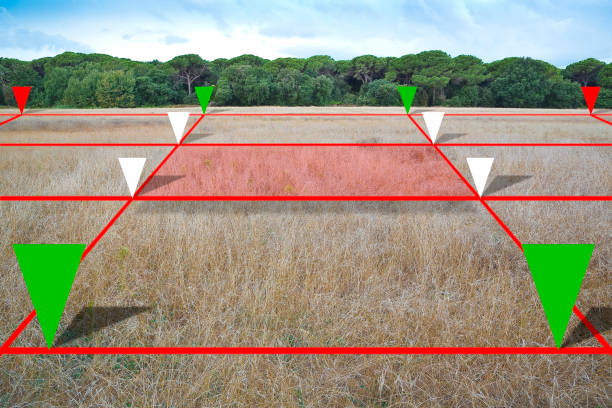Land plot management - real estate concept with a vacant land in a field available for building construction and housing subdivision for sale, rent, buy or investment Land plot management - real estate concept with a vacant land in a field available for building construction and housing subdivision for sale, rent, buy or investment planning zoning stock pictures, royalty-free photos & images