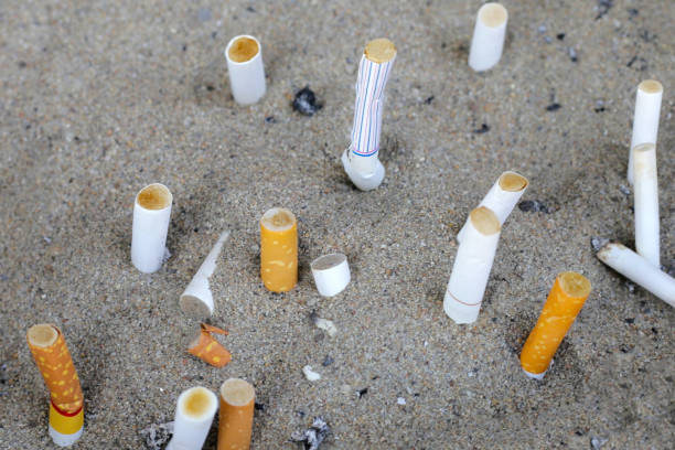 istock Cigarettes and ash on dirty sand in trash tray 1779886777