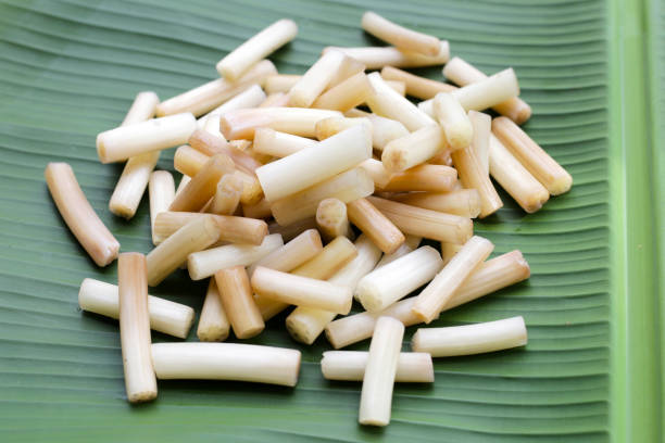 istock Fresh lotus rootlet on banana leaf 1779896886