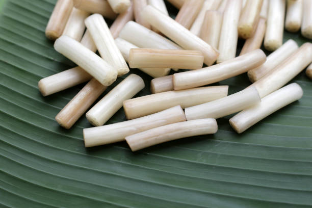 istock Fresh lotus rootlet on banana leaf 1779923261