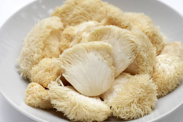 istock Fresh lion's mane mushroom on white background. (Yamabushitake Mushroom) 1779943209