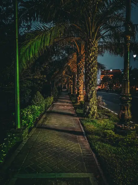 Nightmode view of beautiful city sidewalks with sparkling lights and palm trees