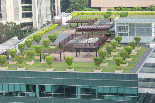 Nice symmetrical garden located on the roof of office building in Singapore