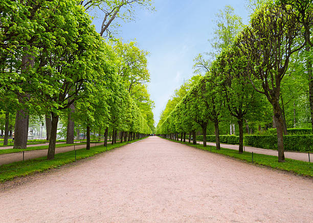 istock Track in the park 177999132