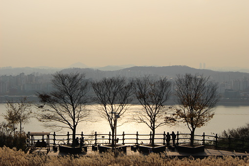 Haneul Park at World Cup Park in Seoul, famous for its fields of silver/pampas grass in autumn