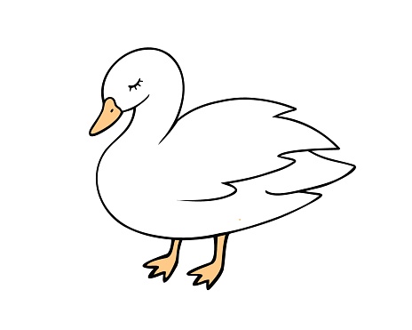Duck, animal, domestic bird. Vector Illustration for printing, backgrounds, covers and packaging. Image can be used for greeting cards, posters, stickers and textile. Isolated on white background.
