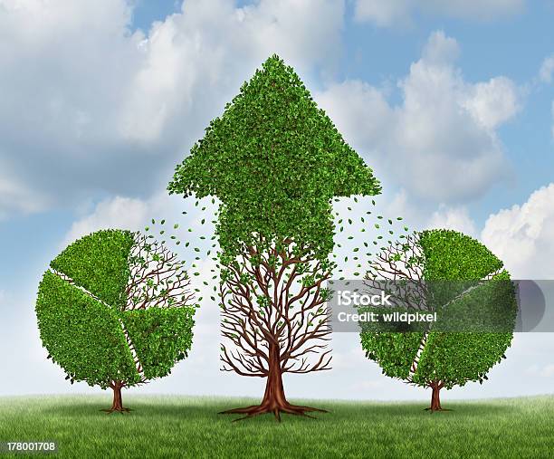 Investing For Growth Stock Photo - Download Image Now - Infographic, Tree, Arrow Symbol