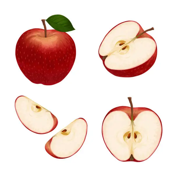 Vector illustration of Red Apple. Set of red apples isolated on a white background. Whole and sliced apple.