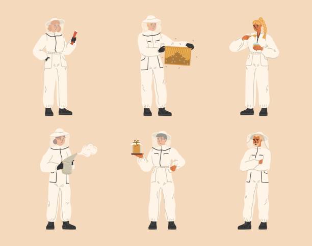 Isolated set of hiver characters wearing bee protection suit Isolated set of hiver characters wearing bee protection suit holding different beekeeping tools for honey extracting and production, insect caring vector illustration hiver stock illustrations