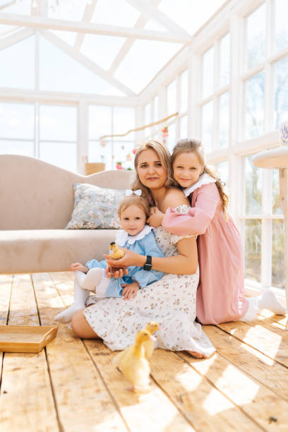 vertical portrait of happy young mom and two cheerful daughters in dress playing with little yellow ducklings in summer gazebo house on sunny day. - duckling parent offspring birds imagens e fotografias de stock