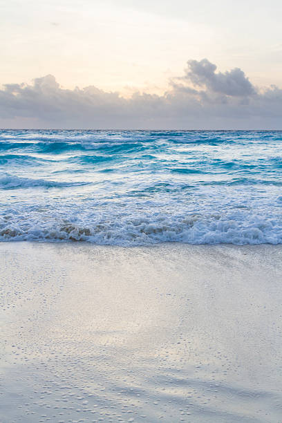 istock Beach of the Caribbean Sea 178008555