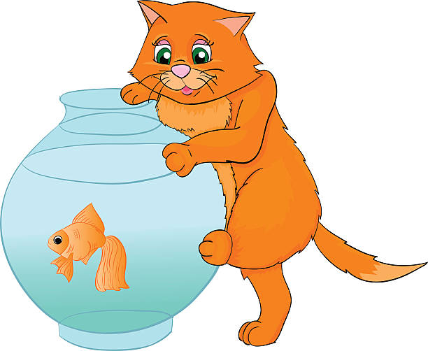 illustrazioni stock, clip art, cartoni animati e icone di tendenza di kat fumetto con isolato su sfondo bianco - fish tank