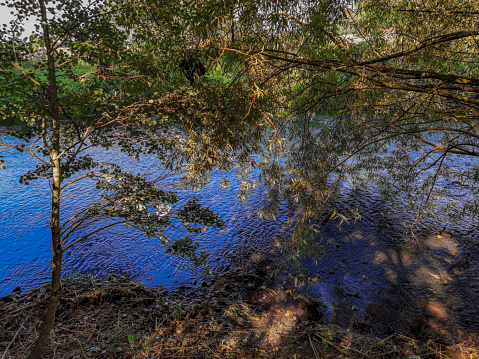 Beautiful spring river in the flowing nature. Colorful landscape in the morning and evening. Travel to deserted places of the world. Stock photo for design