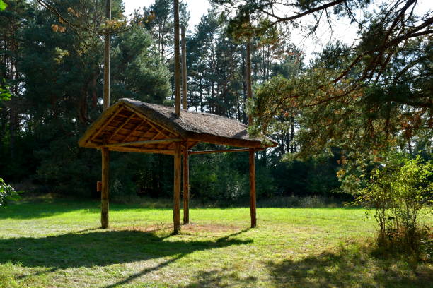 a close up on a wooden shelter, shack, or hut used for storing crops and hay bales made out of logs, planks, and boards spotted in the middle of a dense forest or moor on a sunny summer day - thatched roof imagens e fotografias de stock