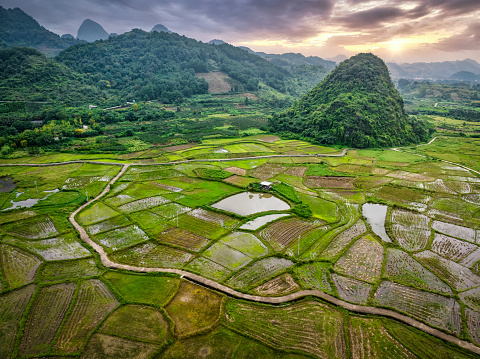 Aerial view of Karst mountains and rice fields near Guilin, Yangshuo