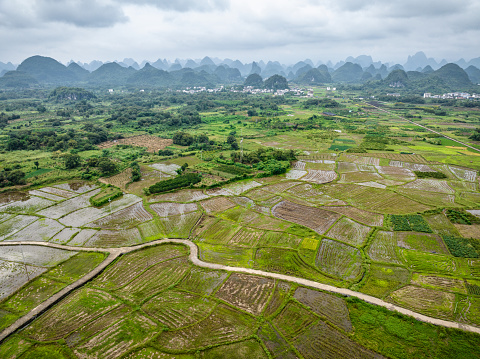 Rice fields between karst mountains in huixian town, yangshuo county in a cloudy day, guilin, china