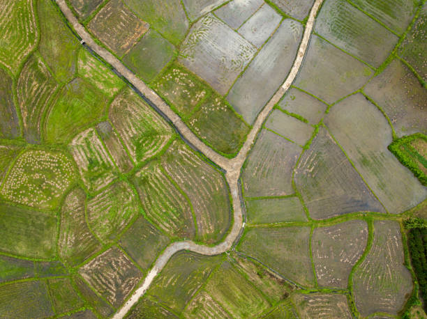 istock Rice fields, Guilin, Guangxi Province, China 1780109666