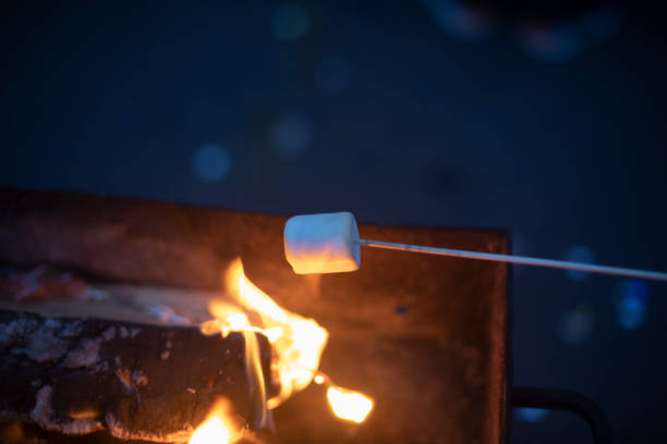 istock Picnic at night. Food on fire. Food on stick. 1780110863
