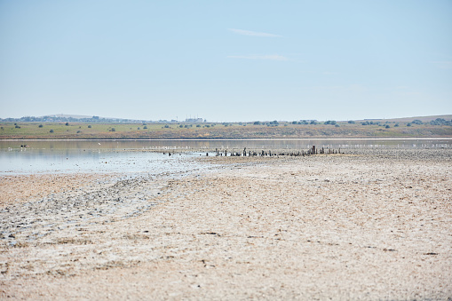 The shore of the salt lake. Sand covered with salt. Gulls and other birds in the distance. A rare natural phenomenon.
