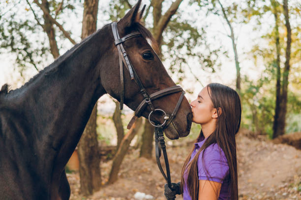 istock Young woman enjoys with her horse 1780123445