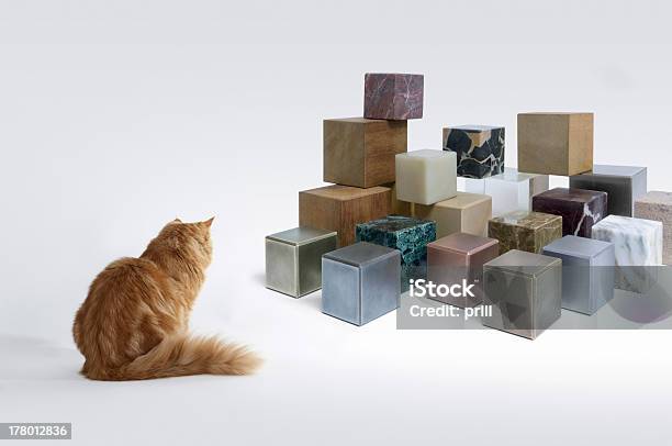 고양이 새끼 및 큐브 대리석에 대한 스톡 사진 및 기타 이미지 - 대리석, 목재-재료, 블록
