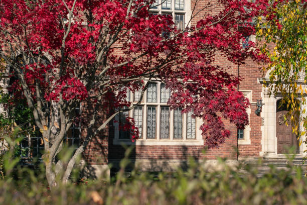 istock Old fashion architecture composed with autumn foliage, copy space background. 1780141739