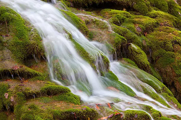 Nice waterfall with streams on green moss