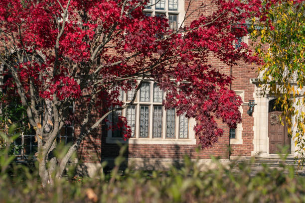 istock Old fashion architecture composed with autumn foliage, copy space background. 1780144614