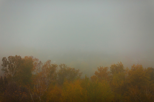 Beautiful woman standing beside railing of pedestrian walkway on a misty autumn day.