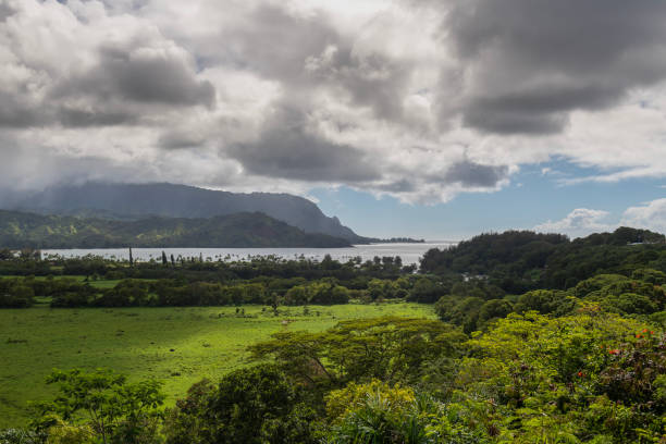 istock The view from the Hanalei Bay Lookout. 1780154809