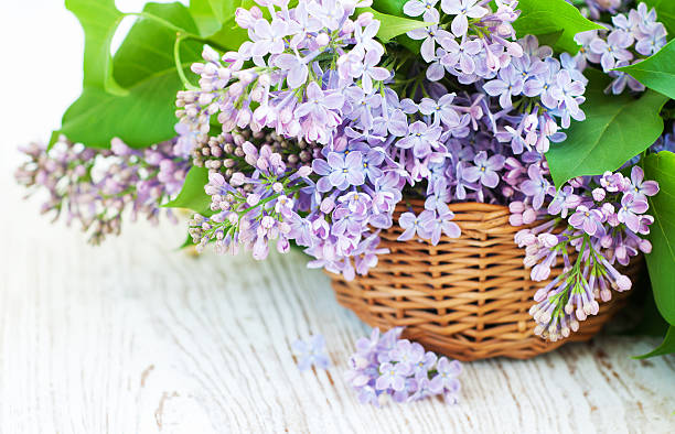 istock Bouquet of a lilac 178015946
