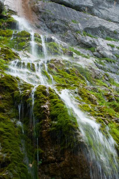 istock Mountain waterfall with clean water falls from a small height. 1780168171
