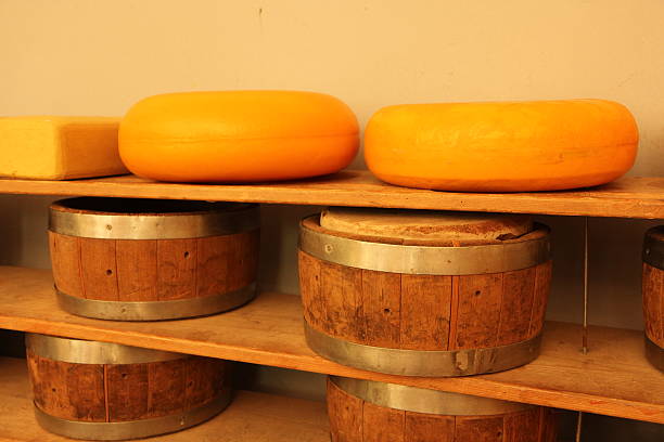 making typical dutch cheeses stock photo