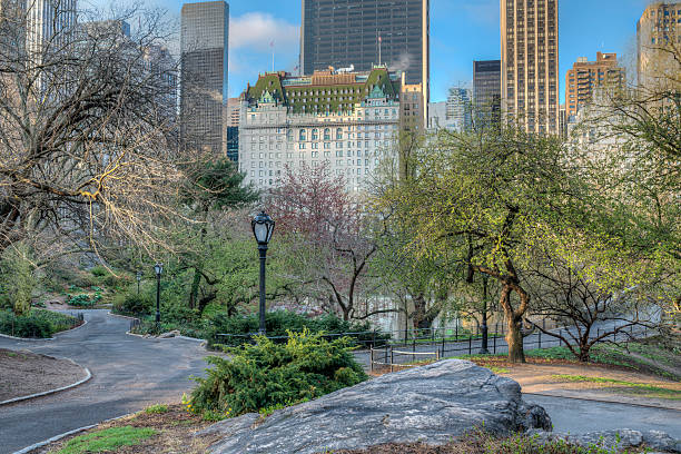 istock Central Park, New York City 178020742