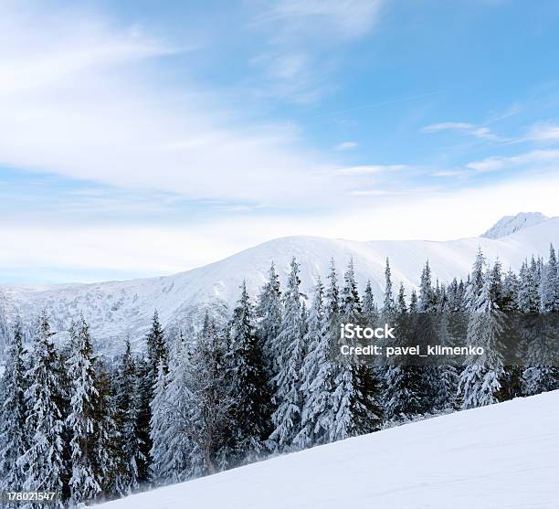 冬には山の風景 - カルパティア山脈のストックフォトや画像を多数ご用意 - カルパティア山脈, タトラ山脈, トウヒ