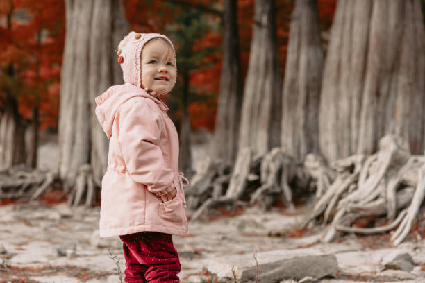 ute child girl walking and playing in a autumnal park. little girl in warm clothes walks in the park - lone cypress tree imagens e fotografias de stock