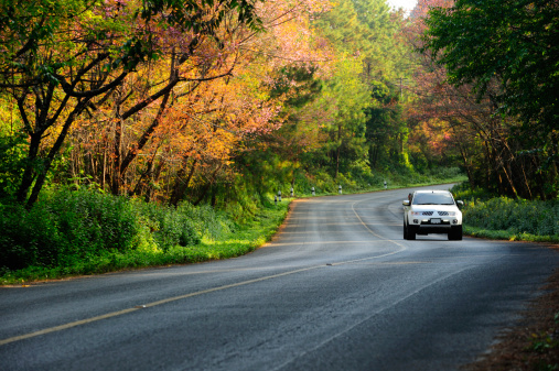 On the road at Angkhang, Chiangmai, Thailand