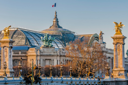 grand palais museum and Pont Alexandre III  Alexander the third bridge in the city of Paris in france
