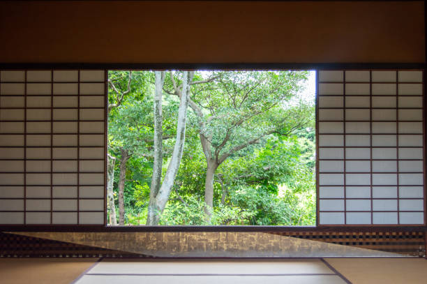 istock window framed scenery of greens 1780234572