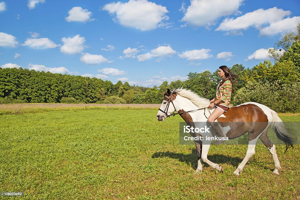 O jovem passeia um Cavalo paint - Royalty-free Mulheres Foto de stock