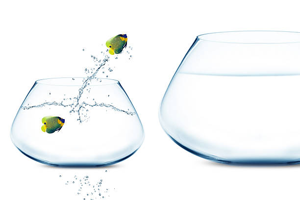 istock Angelfish jumping to big fishbowl 178023973