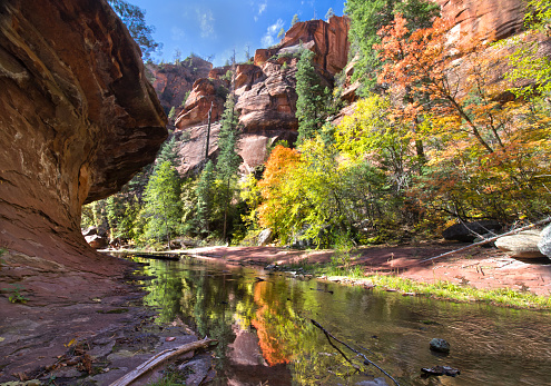 West Fork of Oak Creek Trail near Munds Park, Arizona. 
Beautiful fall colors in canyon and reflections in the creek