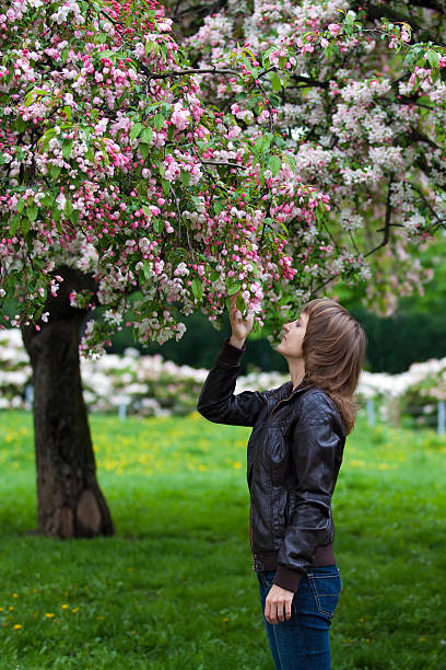 Girl looking at blooming tree in park stock photo