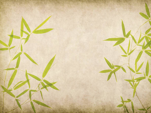 istock Bamboo on old grunge paper texture background 1780262347