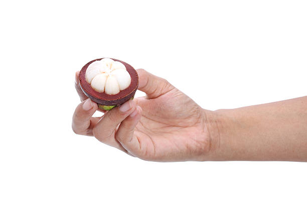 Mangosteen on female hand