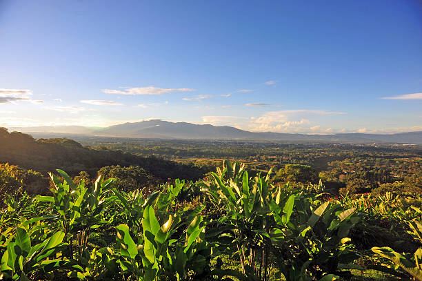 Landscape of desert in San Jose Valley, Costa Rica stock photo
